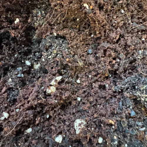 Hand Mixed Terrarium Soil (1L)