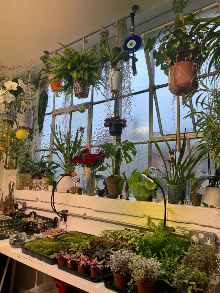 1.9L Cookie Jar Terrarium Workshop 24th April