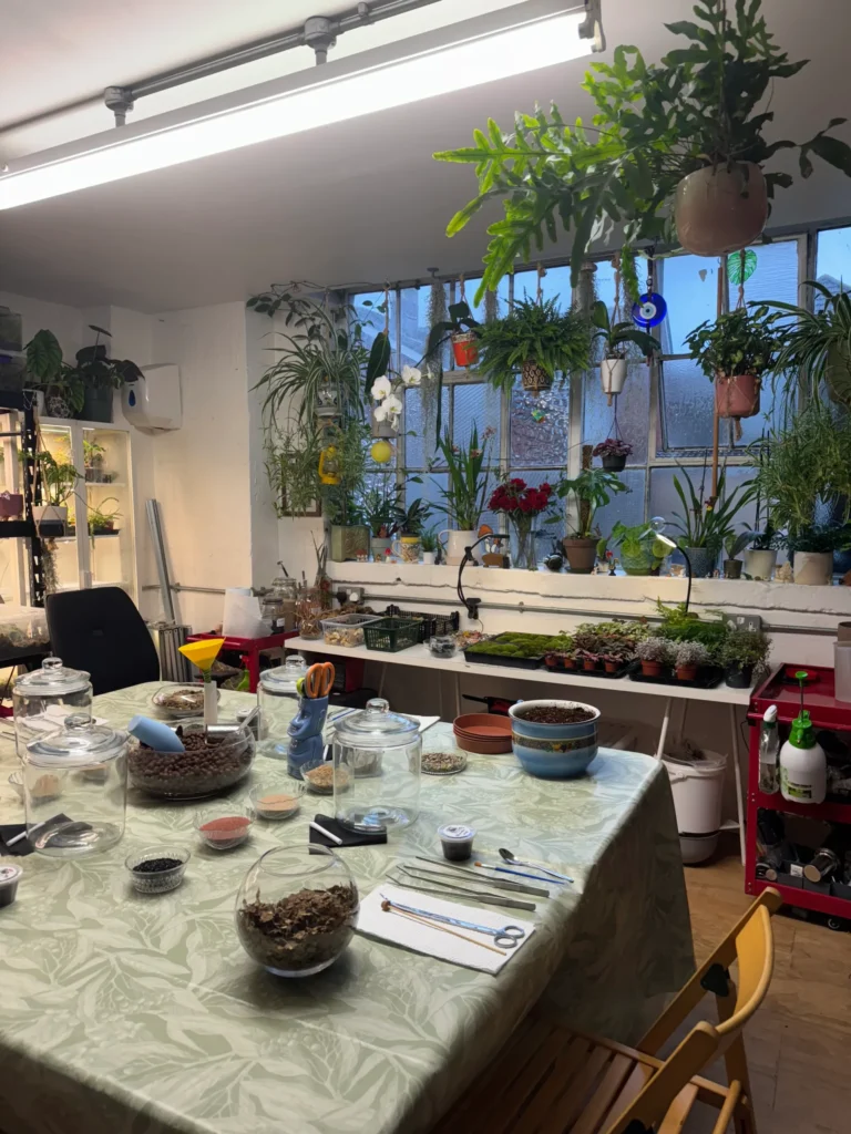 1.9L Cookie Jar Terrarium Workshop 24th April