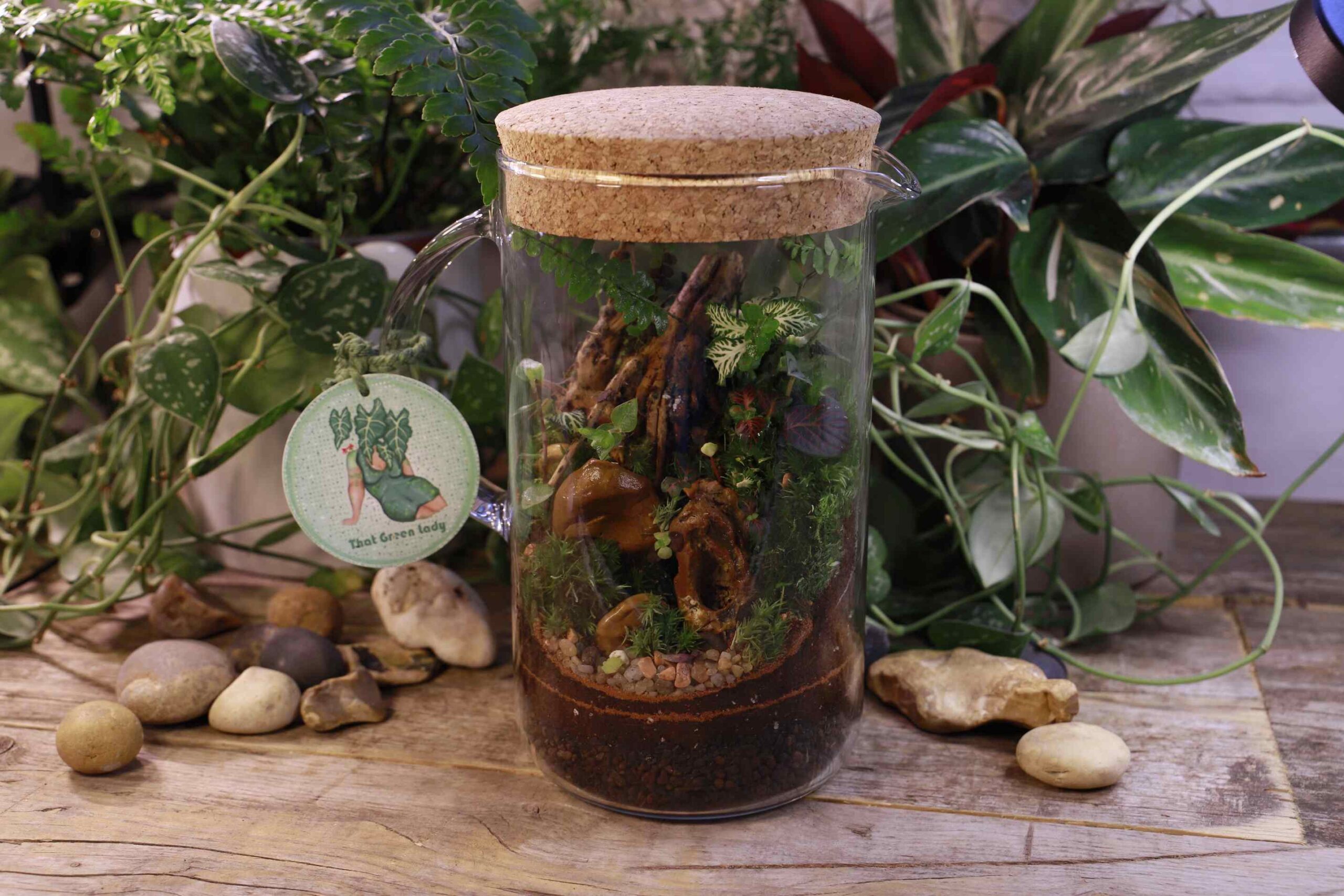 A 1.5L Cork Lidded glass jug containing a miniature ecosystem of plants, stone, wood branches, and moss on a botanical backdrop.