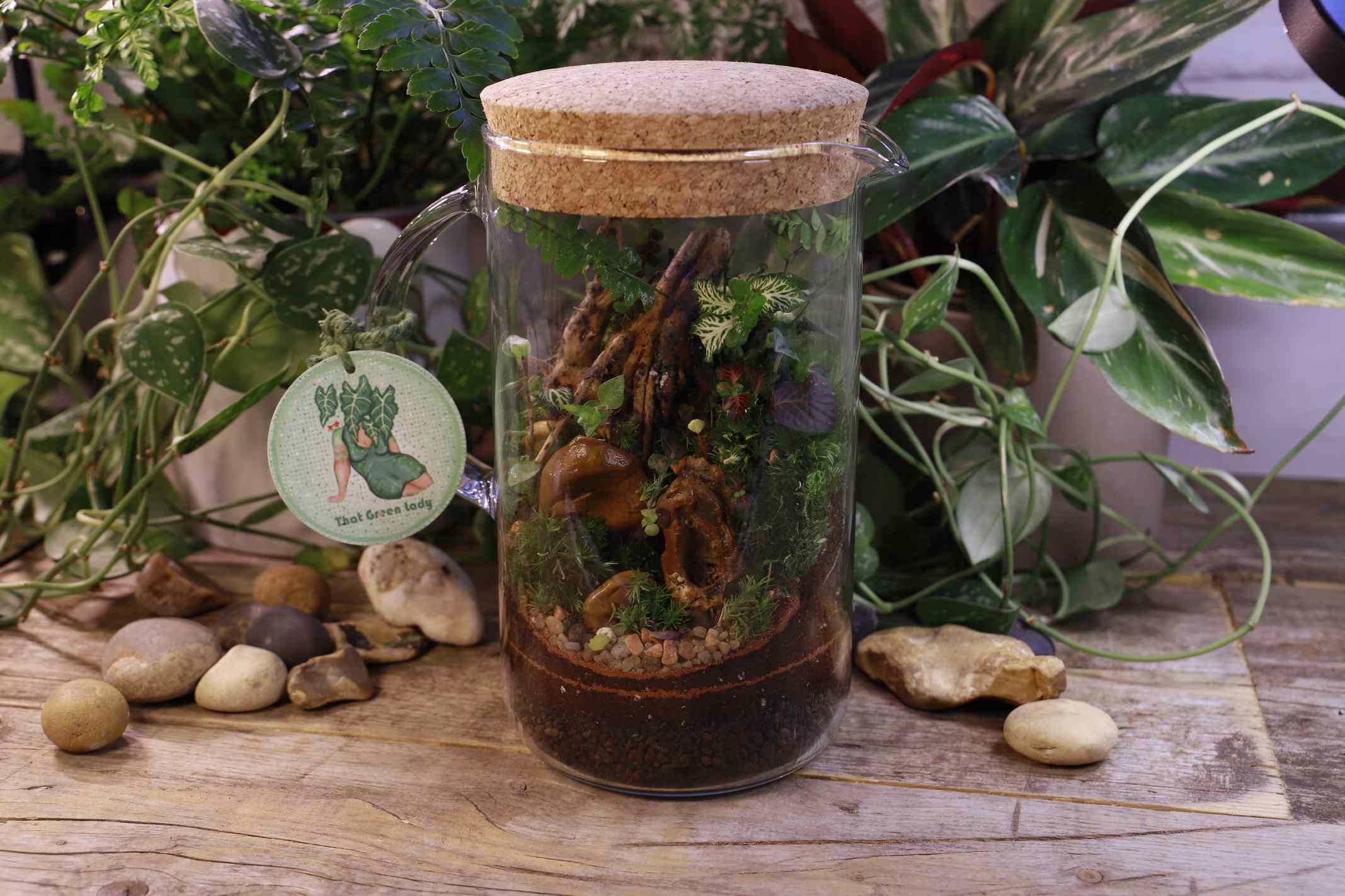 A 1.5L Cork Lidded glass jug containing a miniature ecosystem of plants, stone, wood branches, and moss on a botanical backdrop.