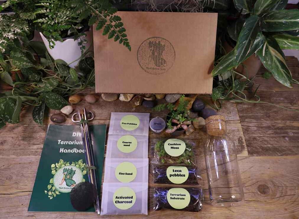 A DIY Terrarium Kit with plants, soil, leca, moss and activated charcoal with a 500ml carafe. Everything is out of the box and laid out on a wooden and botanical background.