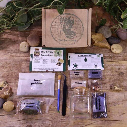 A Mini DIY Terrarium Kit with soil, leca, moss, sand and activated charcoal. Everything is out of the box and laid out on a wooden and botanical background.